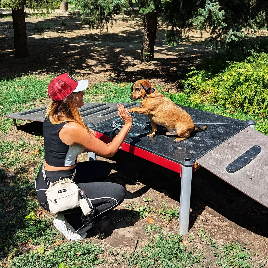Pawsome training